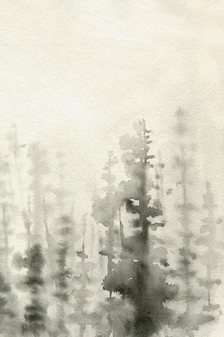 Ink Pine Woods II Black Ornate Wood Framed Art Print with Double Matting by Caroline, Emma