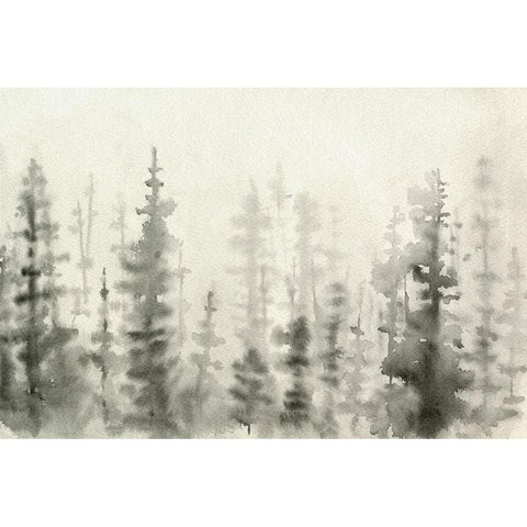 Ink Pine Woods III Black Modern Wood Framed Art Print by Caroline, Emma