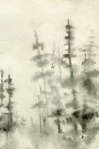 Foggy Pine Forest I Black Ornate Wood Framed Art Print with Double Matting by Caroline, Emma