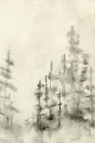 Foggy Pine Forest II Black Ornate Wood Framed Art Print with Double Matting by Caroline, Emma