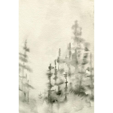 Foggy Pine Forest II Black Modern Wood Framed Art Print with Double Matting by Caroline, Emma