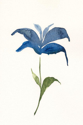 Floweret I White Modern Wood Framed Art Print with Double Matting by Moore, Regina