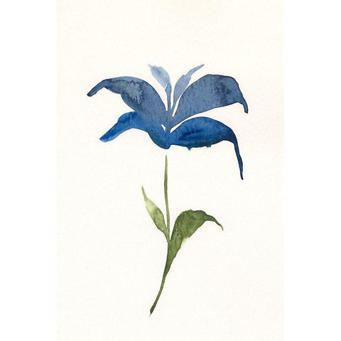 Floweret I Black Modern Wood Framed Art Print with Double Matting by Moore, Regina