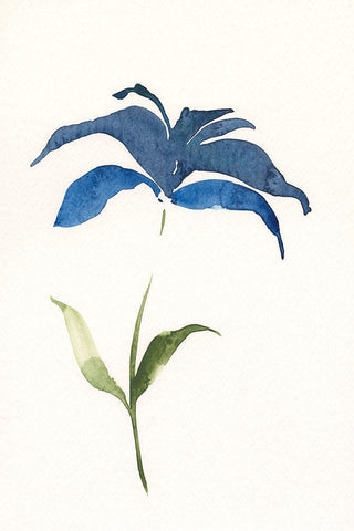 Floweret II White Modern Wood Framed Art Print with Double Matting by Moore, Regina