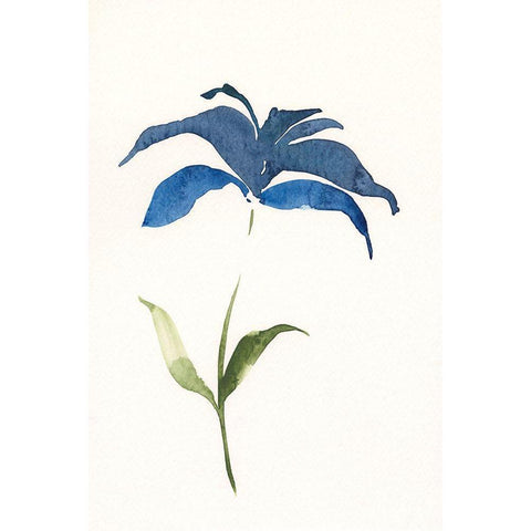 Floweret II Black Modern Wood Framed Art Print by Moore, Regina