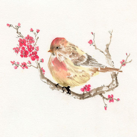 All Puffed Up White Modern Wood Framed Art Print by Rae, Nan