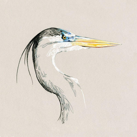 Bright Heron Sketch I White Modern Wood Framed Art Print by Caroline, Emma