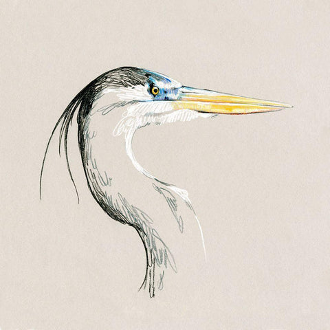 Bright Heron Sketch I Black Ornate Wood Framed Art Print with Double Matting by Caroline, Emma