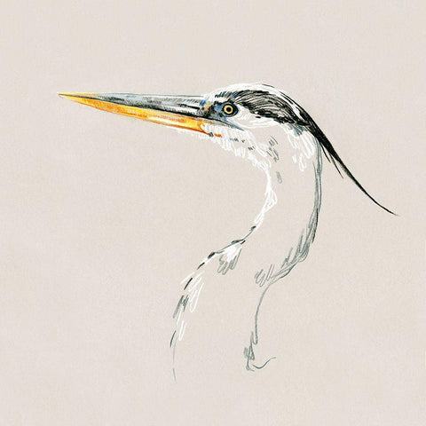 Bright Heron Sketch II Black Modern Wood Framed Art Print with Double Matting by Caroline, Emma