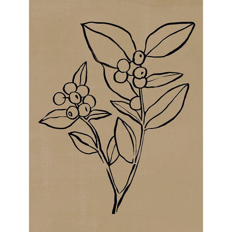 Winter Sprig II Black Modern Wood Framed Art Print with Double Matting by Warren, Annie
