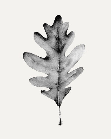 Smoky Oak Leaf I White Modern Wood Framed Art Print with Double Matting by Caroline, Emma