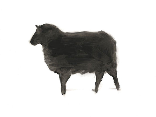 Image Only