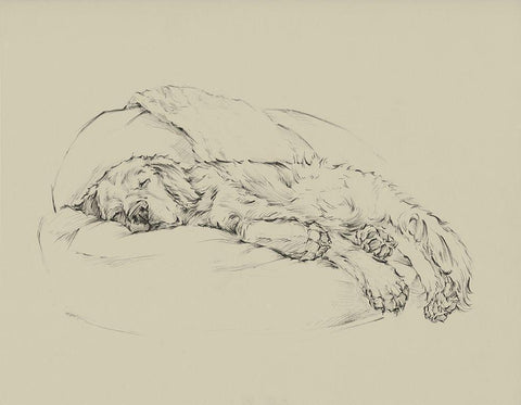 Golden Sketch I White Modern Wood Framed Art Print with Double Matting by Harper, Ethan