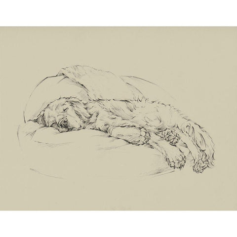 Golden Sketch I Black Modern Wood Framed Art Print with Double Matting by Harper, Ethan