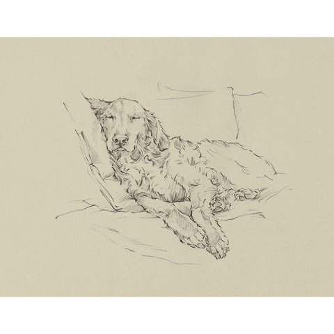 Golden Sketch II White Modern Wood Framed Art Print by Harper, Ethan