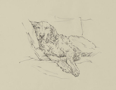 Golden Sketch II White Modern Wood Framed Art Print with Double Matting by Harper, Ethan