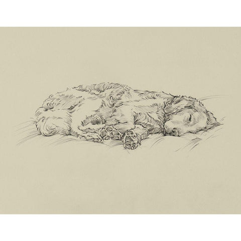 Golden Sketch III Black Modern Wood Framed Art Print with Double Matting by Harper, Ethan