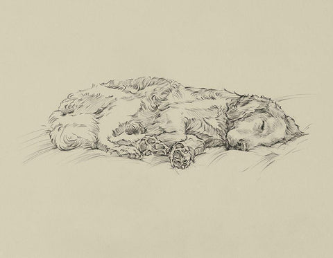 Golden Sketch III White Modern Wood Framed Art Print with Double Matting by Harper, Ethan