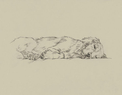 Golden Sketch IV White Modern Wood Framed Art Print with Double Matting by Harper, Ethan