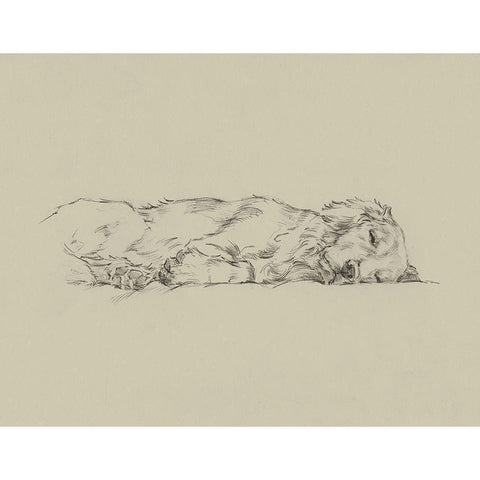 Golden Sketch IV Gold Ornate Wood Framed Art Print with Double Matting by Harper, Ethan