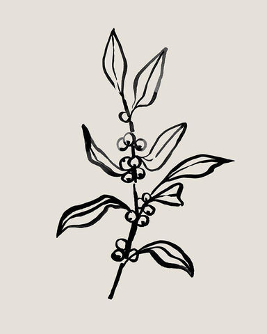 Loose Holly Sketch II Black Ornate Wood Framed Art Print with Double Matting by Caroline, Emma