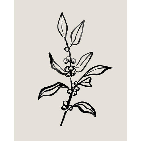 Loose Holly Sketch II White Modern Wood Framed Art Print by Caroline, Emma