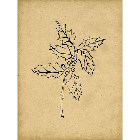 Holly Branch I Black Modern Wood Framed Art Print with Double Matting by Parker, Jennifer Paxton