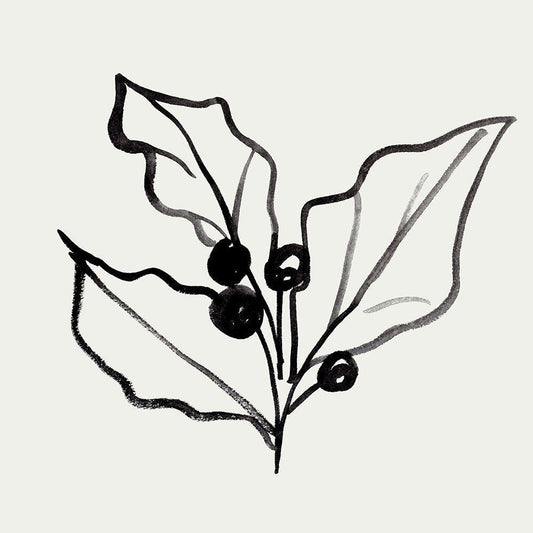Image Only