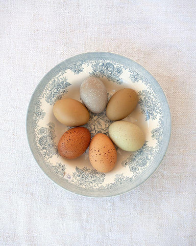 Rainbow Eggs on Blue Plate Black Ornate Wood Framed Art Print with Double Matting by Soderman, Tania