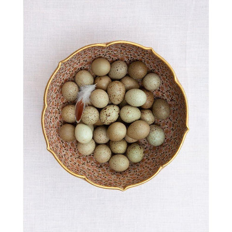 Quail Eggs on Pink Plate Black Modern Wood Framed Art Print by Soderman, Tania
