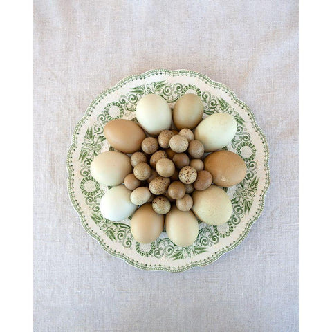 Eggs on Green Country Plate Black Modern Wood Framed Art Print with Double Matting by Soderman, Tania