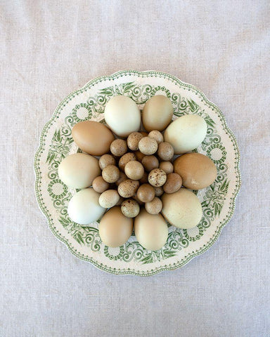 Eggs on Green Country Plate Black Ornate Wood Framed Art Print with Double Matting by Soderman, Tania