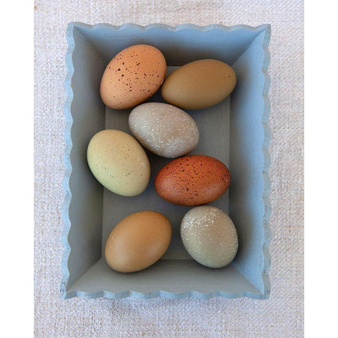Rainbow Eggs in Blue Box Black Modern Wood Framed Art Print with Double Matting by Soderman, Tania
