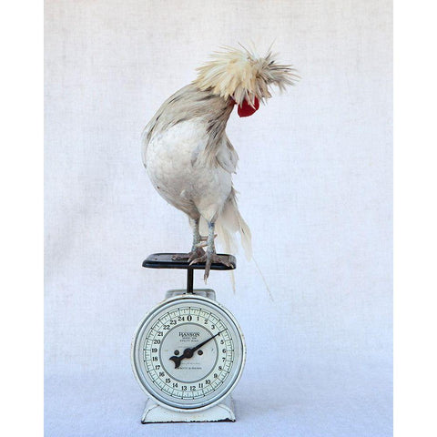 Rod on Scale Gold Ornate Wood Framed Art Print with Double Matting by Soderman, Tania