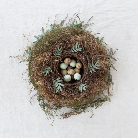 Winter Nest Black Ornate Wood Framed Art Print with Double Matting by Soderman, Tania