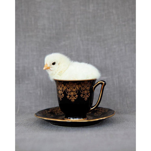 Crema Black Modern Wood Framed Art Print by Soderman, Tania