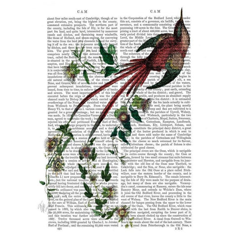 Passion Flower Bird Gold Ornate Wood Framed Art Print with Double Matting by Fab Funky