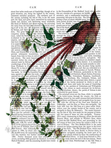 Passion Flower Bird Black Ornate Wood Framed Art Print with Double Matting by Fab Funky