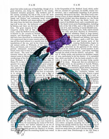 The Dandy Crab Black Ornate Wood Framed Art Print with Double Matting by Fab Funky