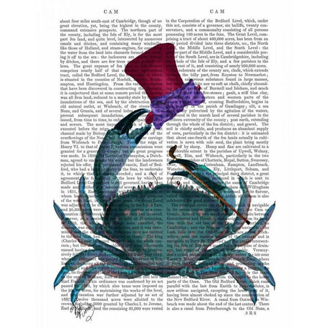 The Dandy Crab Black Modern Wood Framed Art Print with Double Matting by Fab Funky