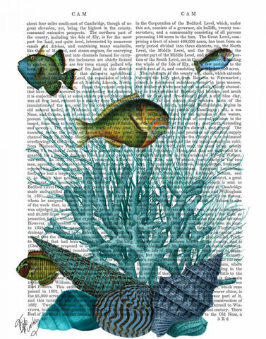 Fish Blue Shells and Corals White Modern Wood Framed Art Print with Double Matting by Fab Funky