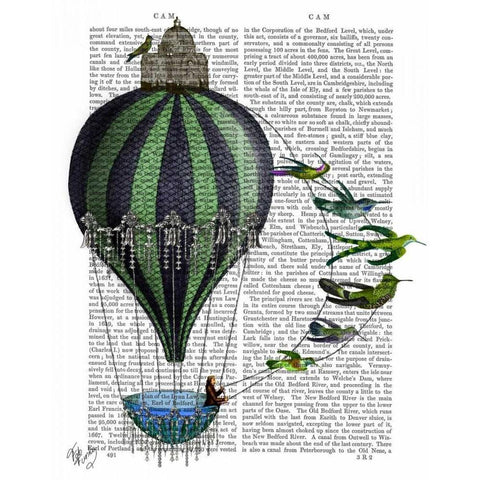 Hot Air Balloon and Birds Black Modern Wood Framed Art Print with Double Matting by Fab Funky