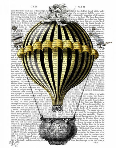 Baroque Fantasy Balloon 2 Black Ornate Wood Framed Art Print with Double Matting by Fab Funky