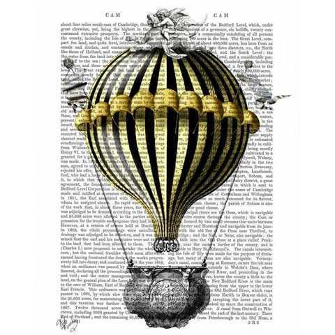 Baroque Fantasy Balloon 2 Black Modern Wood Framed Art Print with Double Matting by Fab Funky