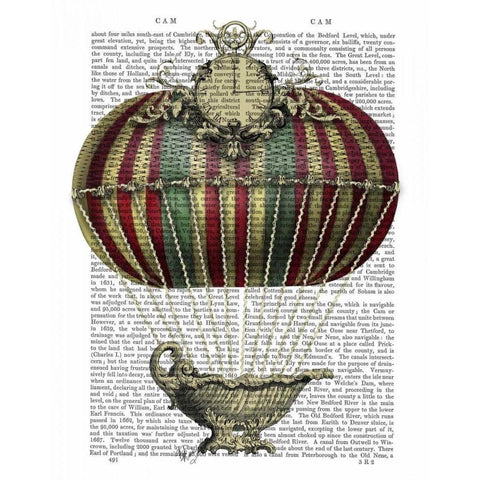 Baroque Fantasy Balloon 3 Black Modern Wood Framed Art Print with Double Matting by Fab Funky