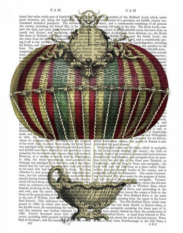 Baroque Fantasy Balloon 3 Black Ornate Wood Framed Art Print with Double Matting by Fab Funky