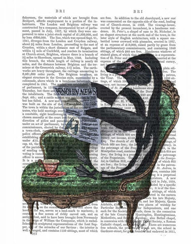 Penguin Reading Newspaper Black Ornate Wood Framed Art Print with Double Matting by Fab Funky