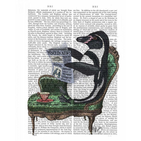 Penguin Reading Newspaper Black Modern Wood Framed Art Print with Double Matting by Fab Funky