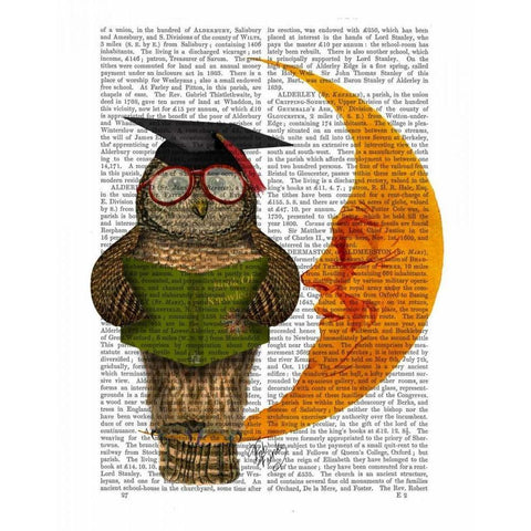 Owl On The Moon Gold Ornate Wood Framed Art Print with Double Matting by Fab Funky