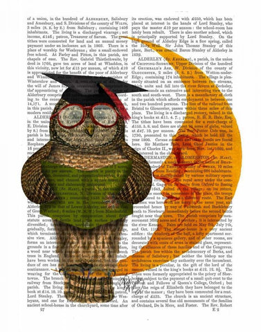 Owl On The Moon White Modern Wood Framed Art Print with Double Matting by Fab Funky